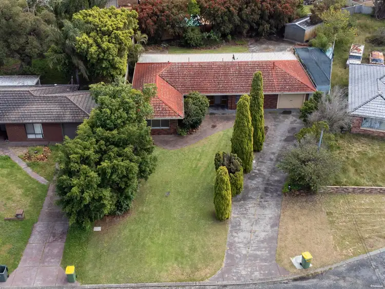 Fifth view of Homely house listing, 19 Larix Way, Forrestfield WA 6058