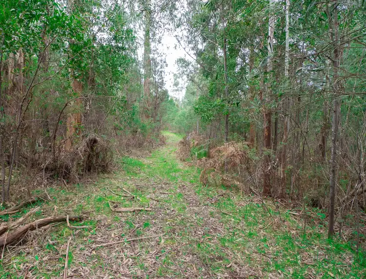 Main view of Homely land listing, 1232 Maroondah Highway, Narbethong VIC 3778
