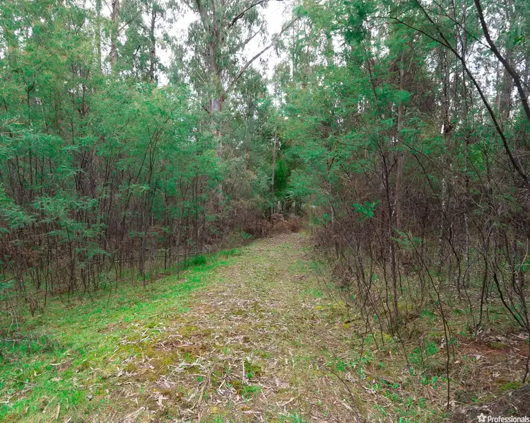 Third view of Homely land listing, 1232 Maroondah Highway, Narbethong VIC 3778