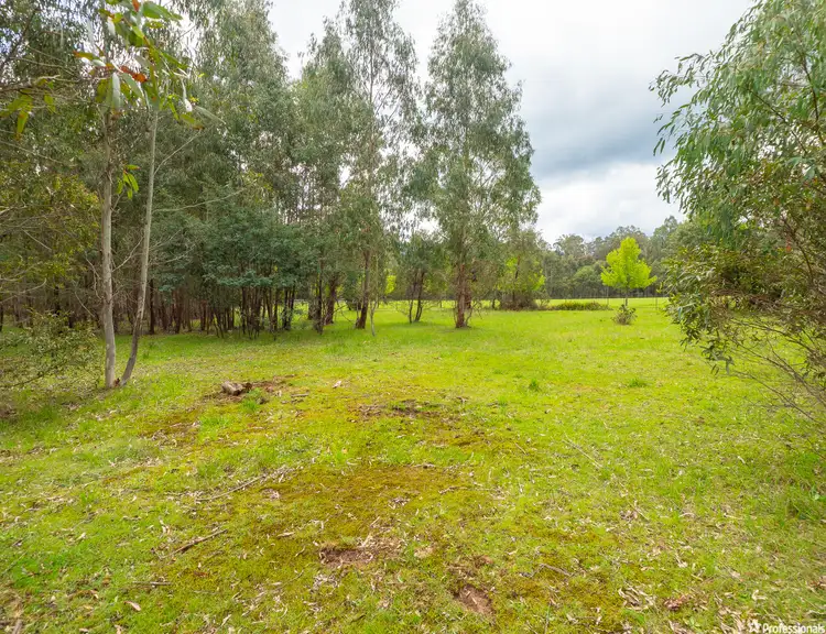 Fifth view of Homely land listing, 1232 Maroondah Highway, Narbethong VIC 3778
