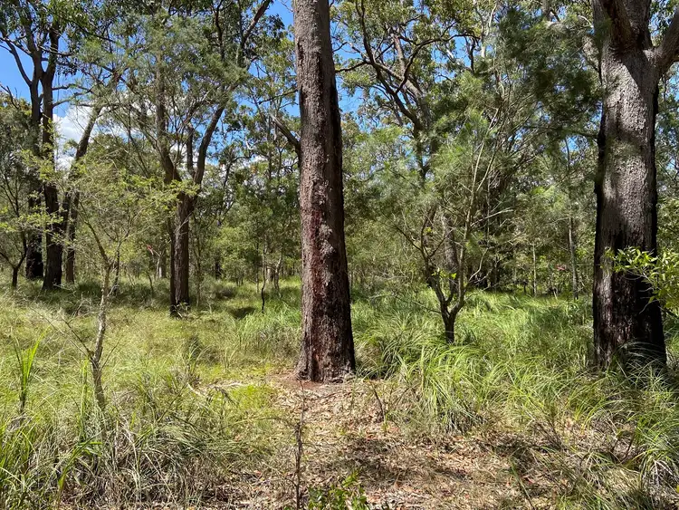 Second view of Homely rural property listing, Lot/2602-2603 Station Way, North Arm Cove NSW 2324