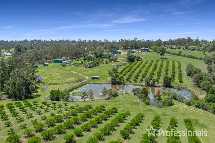Main view of Homely rural property listing, 53 Percival Road, Chatsworth QLD 4570