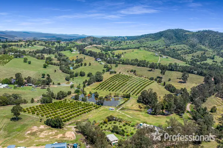 Third view of Homely rural property listing, 53 Percival Road, Chatsworth QLD 4570