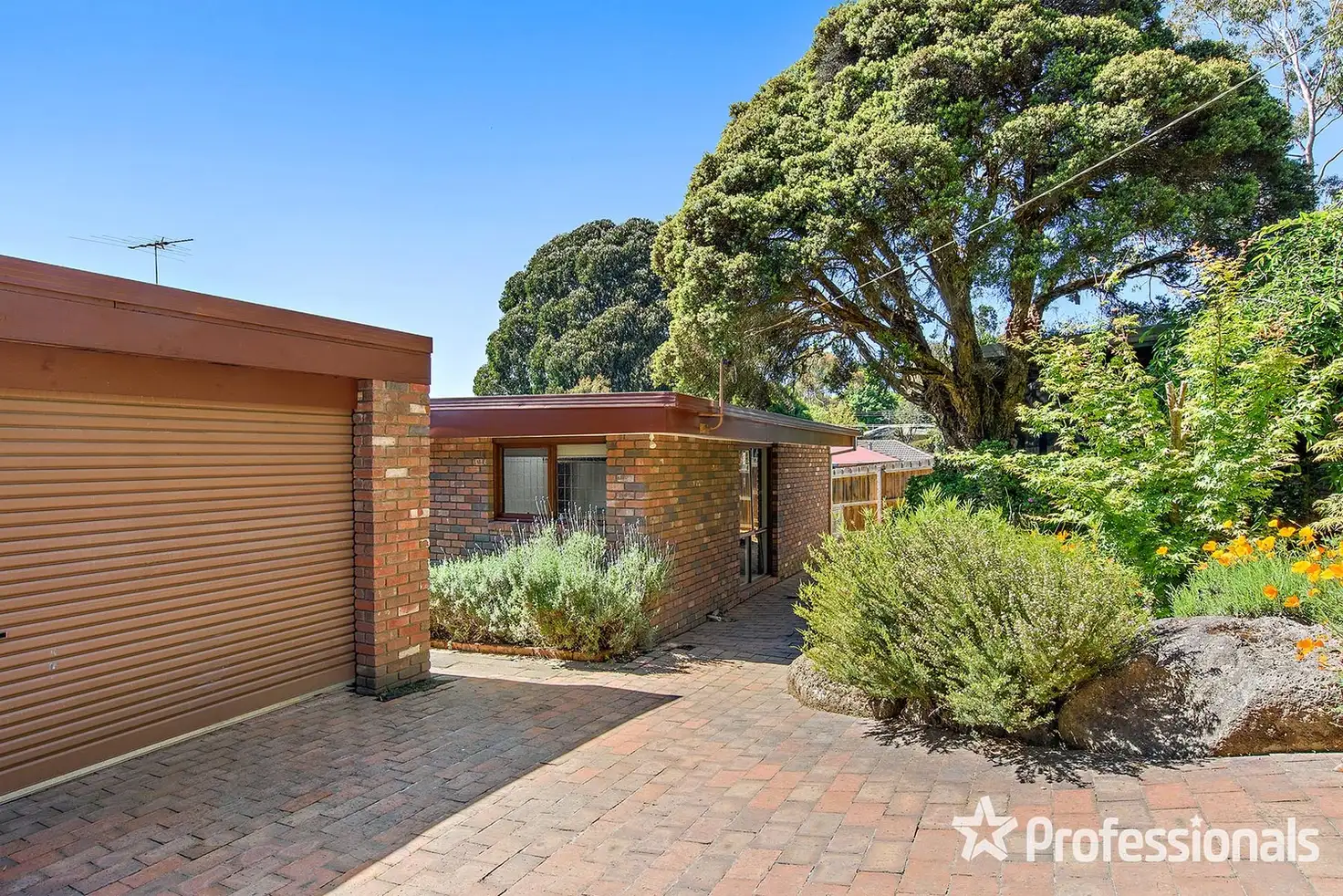 Main view of Homely house listing, 8 Haag Road, Seville VIC 3139