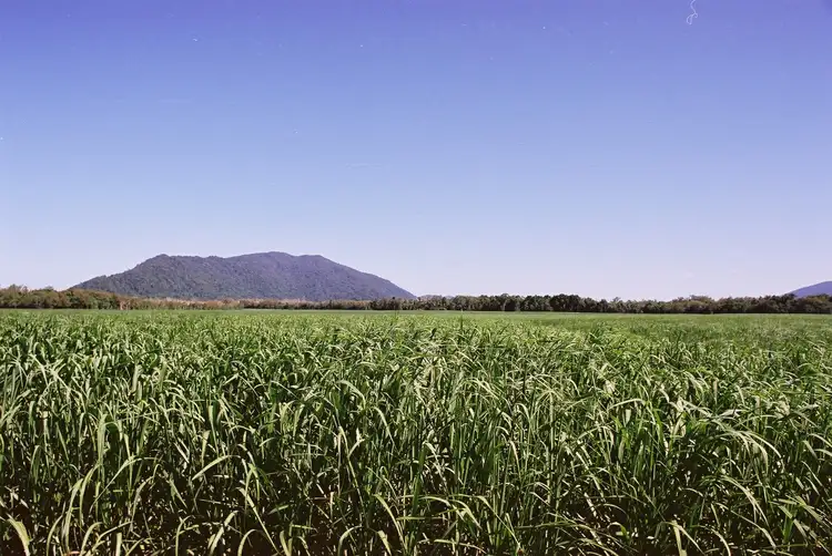 Third view of Homely rural property listing, 186 Ross Road, Deeral QLD 4871