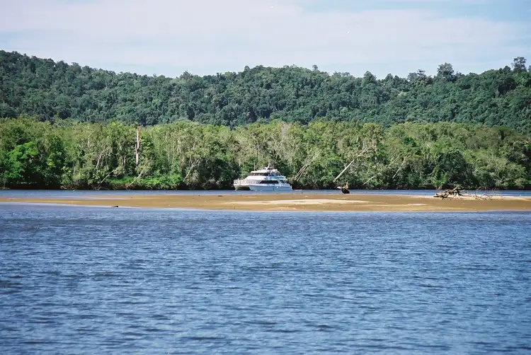 Fourth view of Homely rural property listing, 186 Ross Road, Deeral QLD 4871