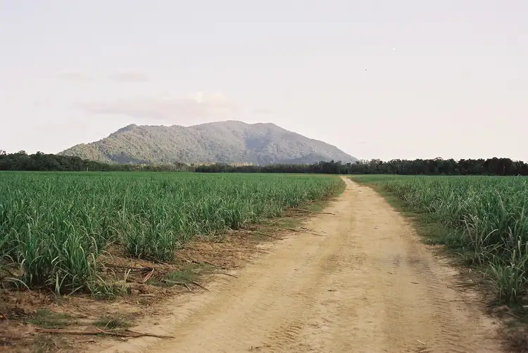 Fifth view of Homely rural property listing, 186 Ross Road, Deeral QLD 4871