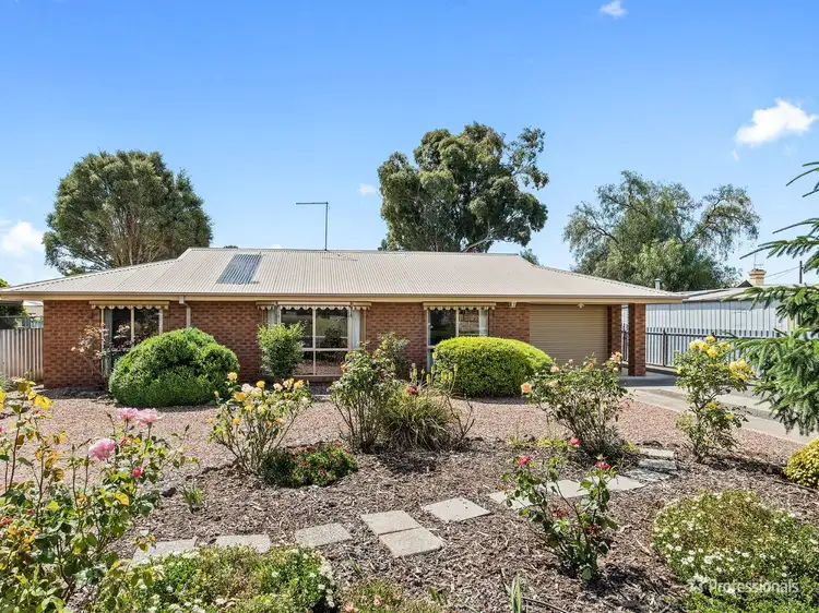 Main view of Homely house listing, 17 Powlett Street, Carisbrook VIC 3464