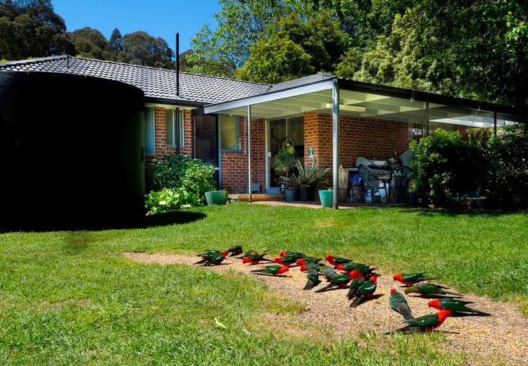 Sixth view of Homely rural property listing, 159 Manby Road, Narbethong VIC 3778