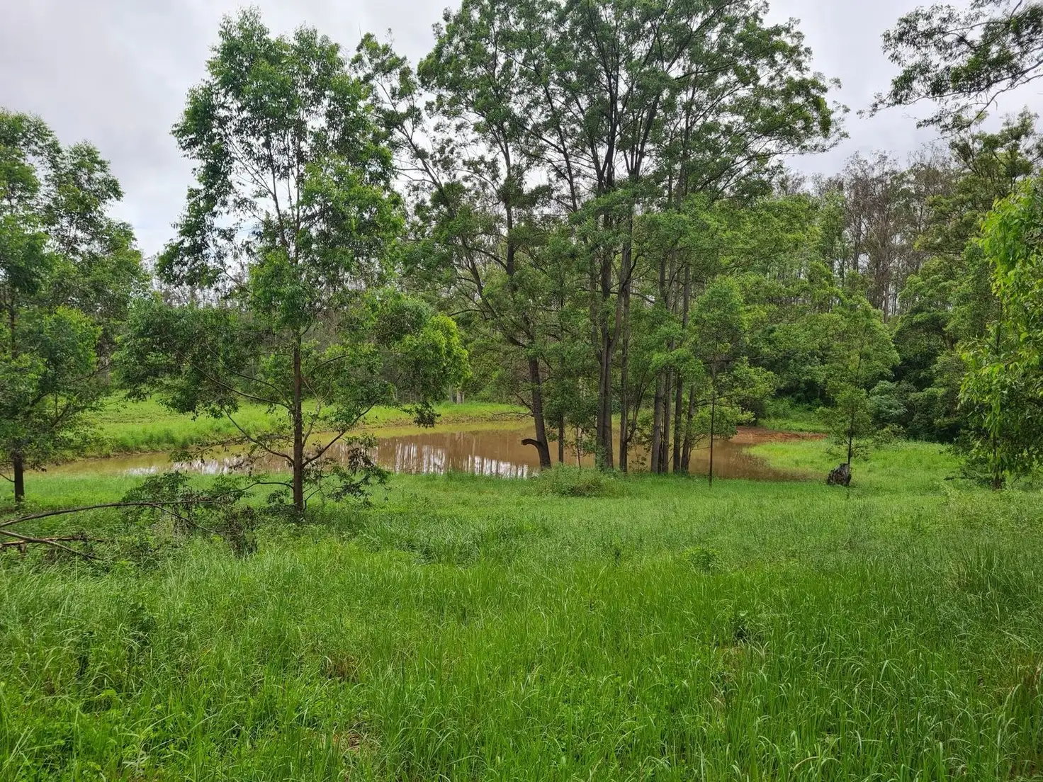 Main view of Homely rural property listing, Address available on request