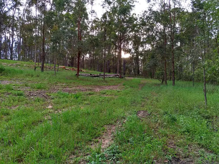 Fourth view of Homely rural property listing, Address available on request