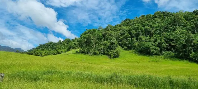 Fifth view of Homely rural property listing, 2 Bruce Highway, Bellenden Ker QLD 4871