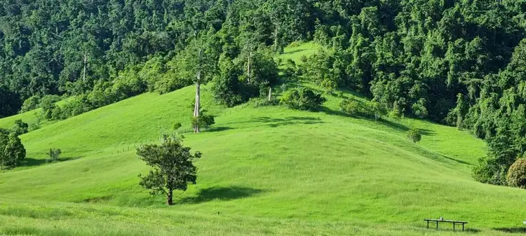 Sixth view of Homely rural property listing, 2 Bruce Highway, Bellenden Ker QLD 4871