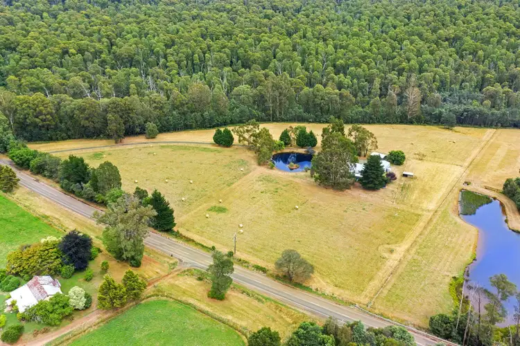 Third view of Homely rural property listing, 176 Marysville Road, Marysville VIC 3779