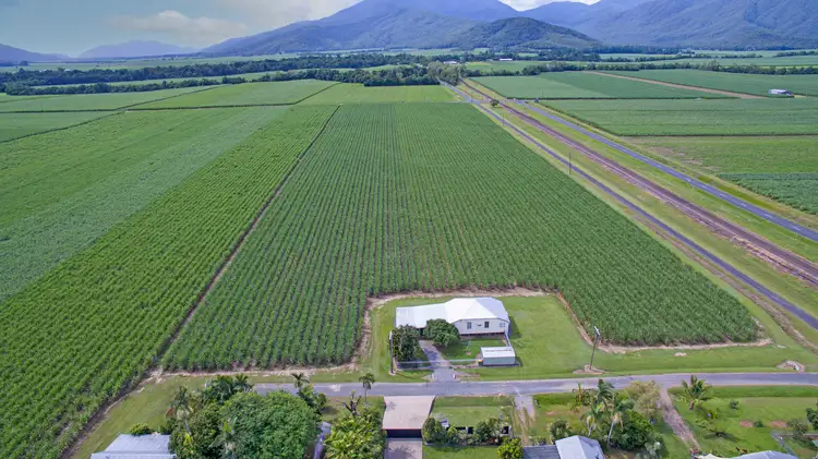 Fourth view of Homely rural property listing, 6 Bennett Road, Aloomba QLD 4871