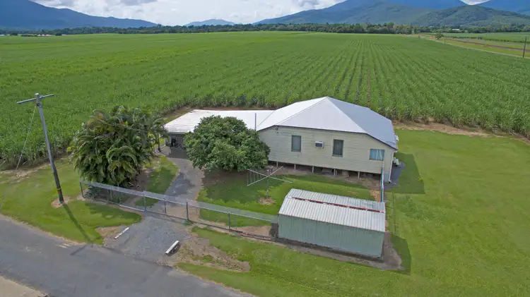 Fifth view of Homely rural property listing, 6 Bennett Road, Aloomba QLD 4871