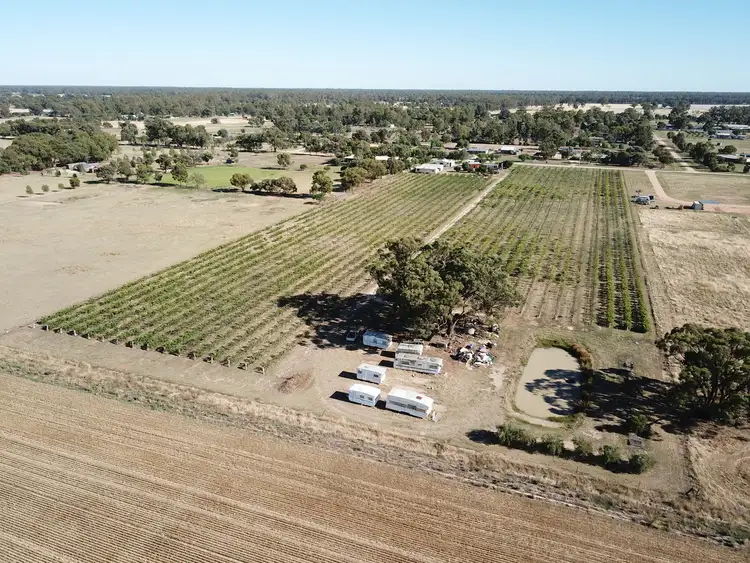 Third view of Homely rural property listing, 38 Ferris Street, Bearii VIC 3641