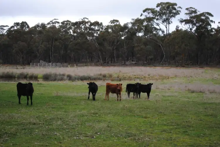 Main view of Homely land listing, 373 Old Avoca Road, Adelaide Lead VIC 3465