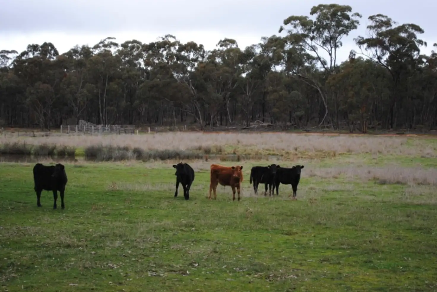 Main view of Homely land listing, 373 Old Avoca Road, Adelaide Lead VIC 3465