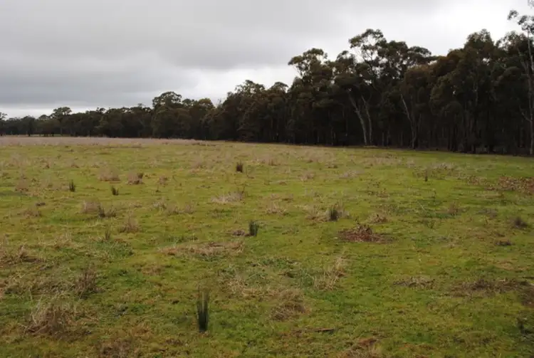 Third view of Homely land listing, 373 Old Avoca Road, Adelaide Lead VIC 3465