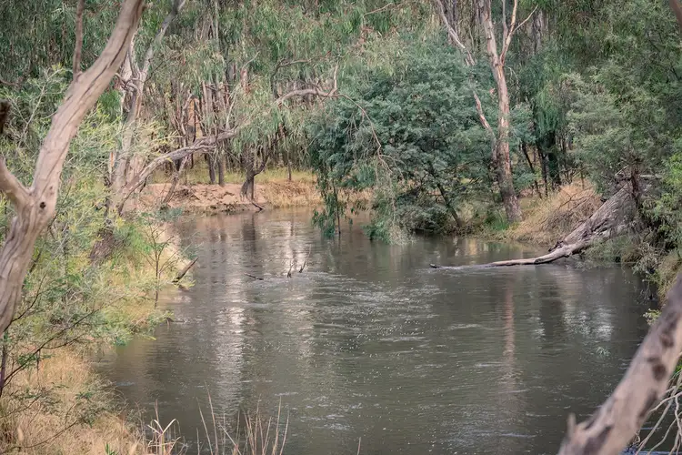 Third view of Homely house listing, 61 Lincoln Drive, Shepparton VIC 3630