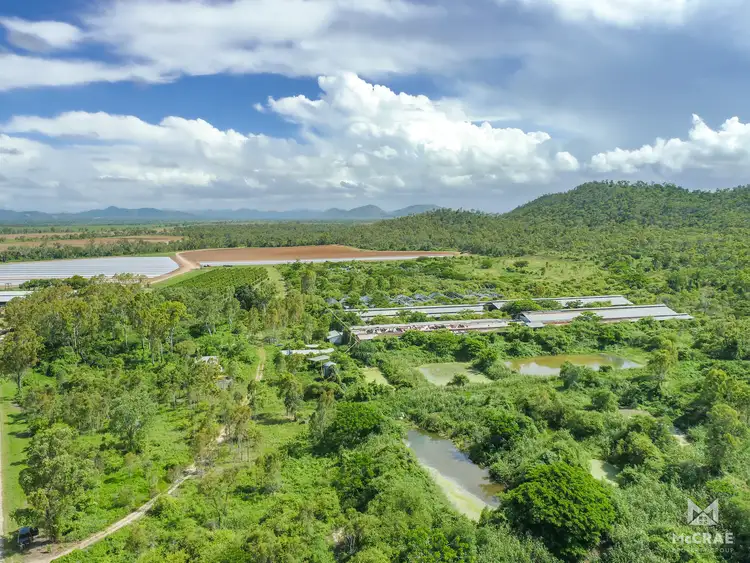 Fourth view of Homely rural property listing, 1100 Mount Dangar Road, Bowen QLD 4805