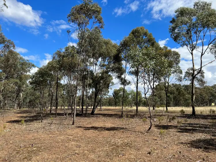 Third view of Homely land listing, 132 George Street, Bet Bet VIC 3472