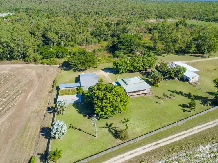 Third view of Homely house listing, 1128 Mount Dangar Road, Bowen QLD 4805