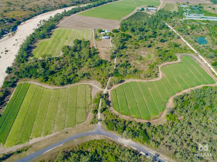 Fourth view of Homely house listing, 1128 Mount Dangar Road, Bowen QLD 4805