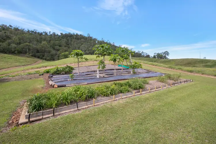 Sixth view of Homely rural property listing, 561 Coorooman Creek Road, Coorooman QLD 4702