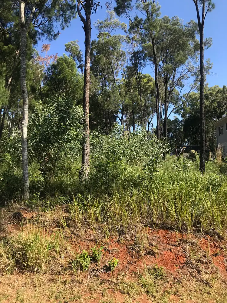44 Hastings Terrace, Macleay Island QLD 4184