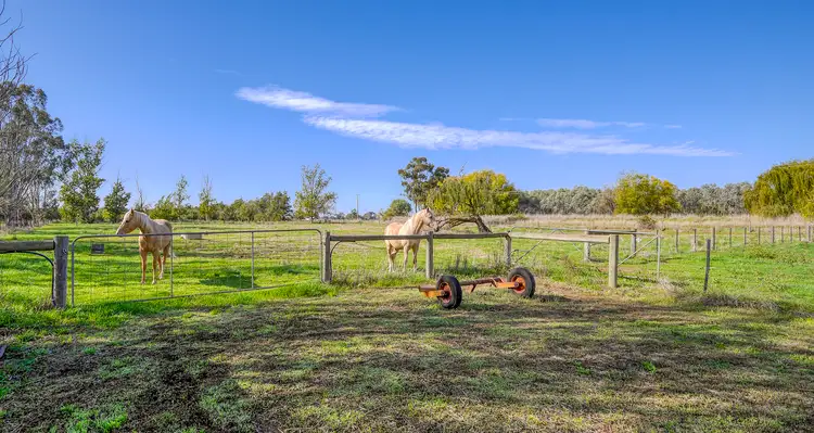 Second view of Homely rural property listing, 1315 Merrigum-Ardmona Road, Ardmona VIC 3629