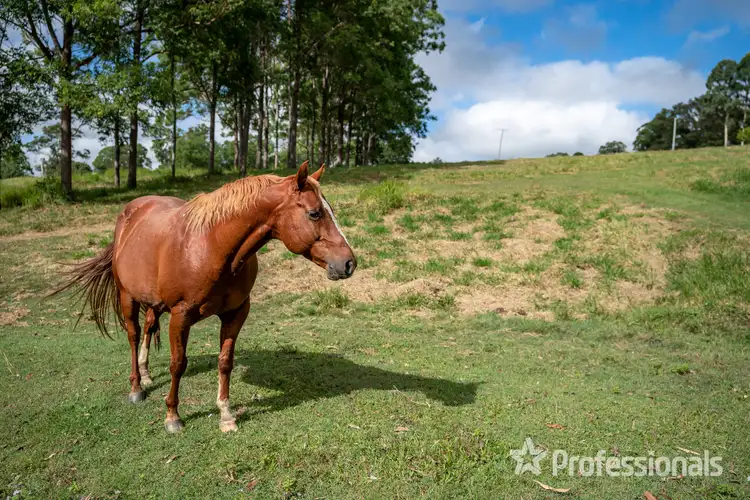 Fourth view of Homely rural property listing, 5 Wattle Lane, North Deep Creek QLD 4570