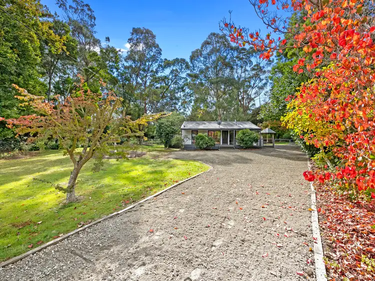 Main view of Homely house listing, 50 Mareeba Avenue, Buxton VIC 3711
