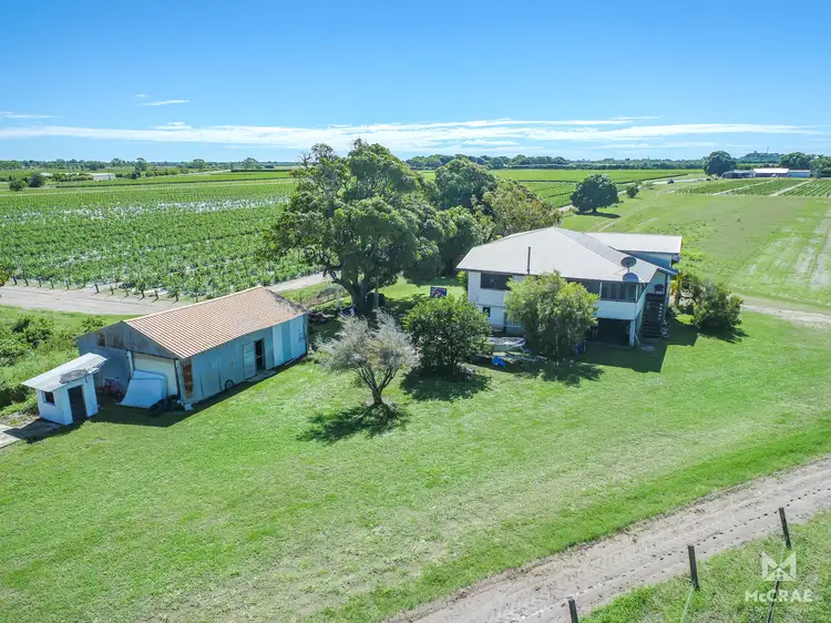 Main view of Homely house listing, 150 Woodlands Road, Bowen QLD 4805