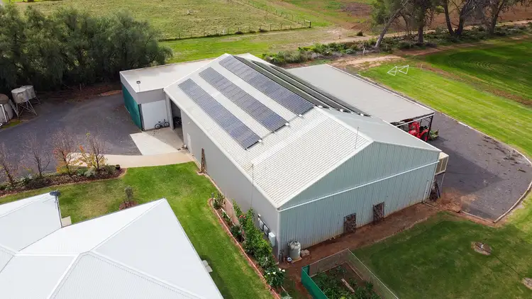 Third view of Homely rural property listing, 145 Long Lake Road, Lake Boga VIC 3584