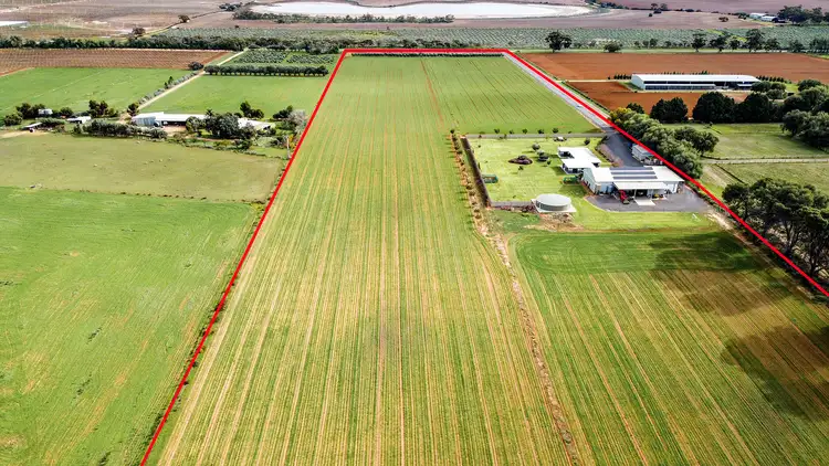 Seventh view of Homely rural property listing, 145 Long Lake Road, Lake Boga VIC 3584