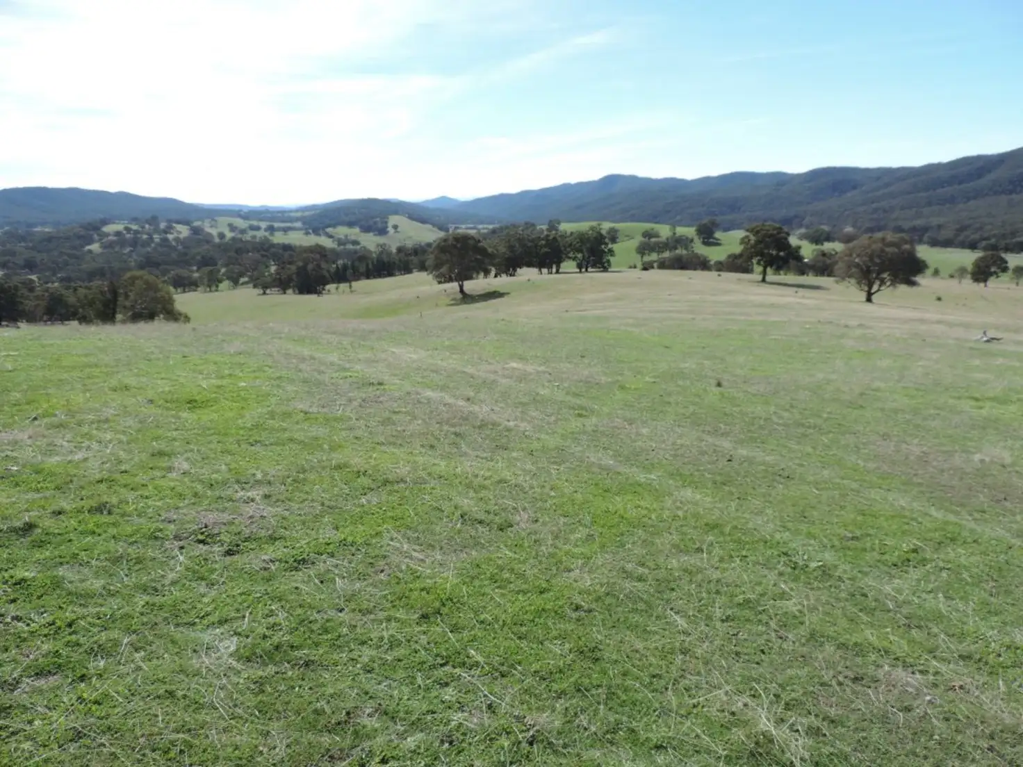 Main view of Homely rural property listing, 671 Bridge Creek Road, Binda NSW 2583