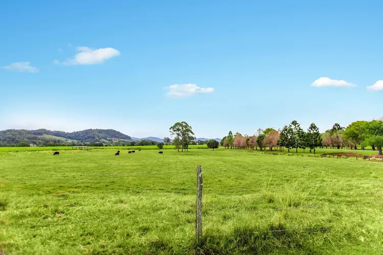 Third view of Homely rural property listing, 10 Tamarisk Avenue, Murwillumbah NSW 2484