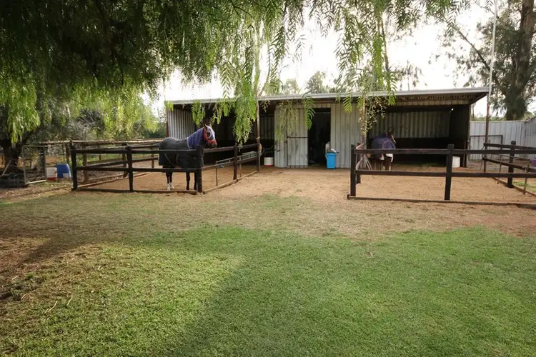 Second view of Homely house listing, 19 Billabong Road, Nichols Point VIC 3501