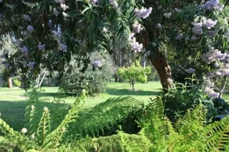 Fifth view of Homely house listing, 31 Pioneer Road, Stanley VIC 3747
