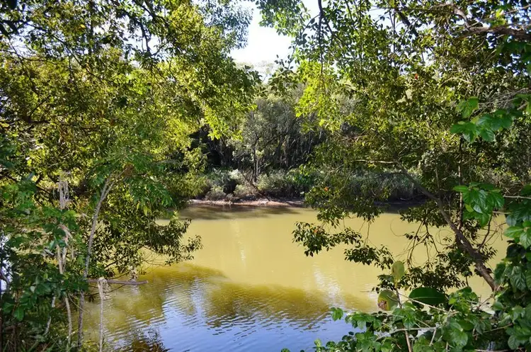 Second view of Homely rural property listing, 560 Teven Road, Teven NSW 2478