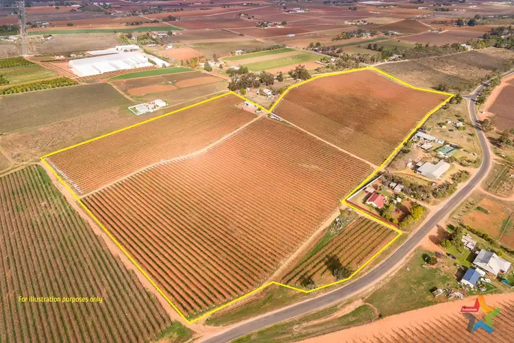 Main view of Homely rural property listing, 229 Nursery Ridge Road, Red Cliffs VIC 3496
