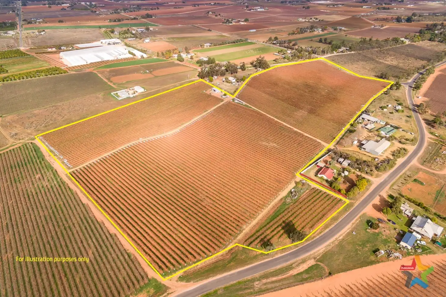 Main view of Homely rural property listing, 229 Nursery Ridge Road, Red Cliffs VIC 3496