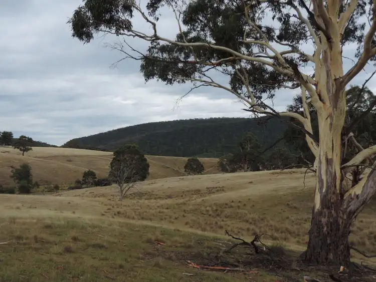 Main view of Homely rural property listing, 700 Jerrong Road, Taralga NSW 2580