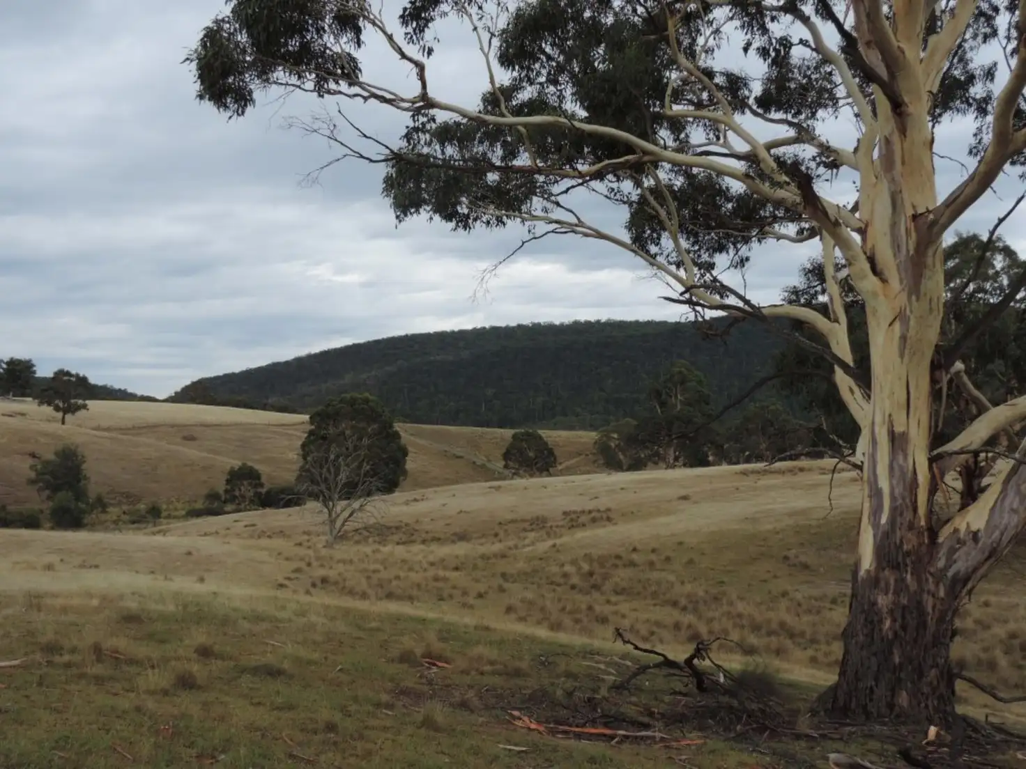 Main view of Homely rural property listing, 700 Jerrong Road, Taralga NSW 2580