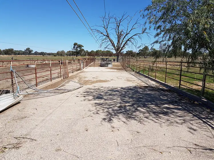 Seventh view of Homely rural property listing, 1 Brittain Road, Numurkah VIC 3636