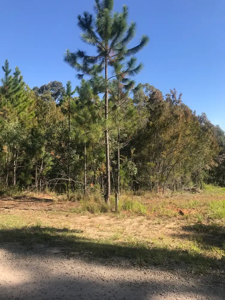 Fifth view of Homely land listing, 19 Piccaninny Street, Macleay Island QLD 4184