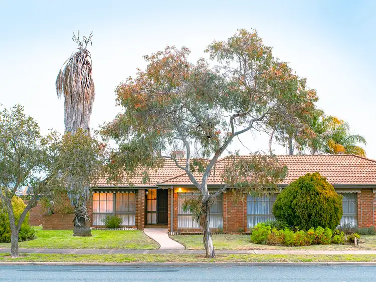 14 Morris Court, Shepparton VIC 3630