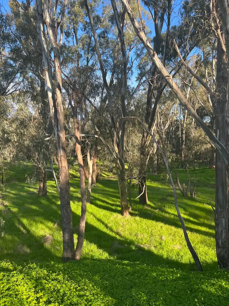 Fifth view of Homely land listing, 7 Broken River Drive, Shepparton VIC 3630